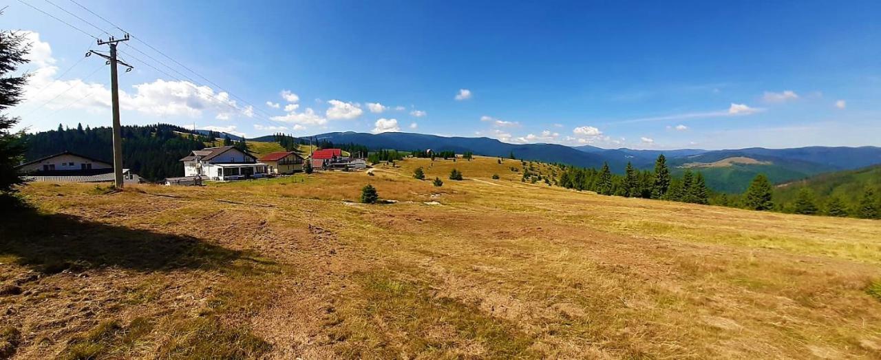 Pensiunea Karola Păltiniş エクステリア 写真