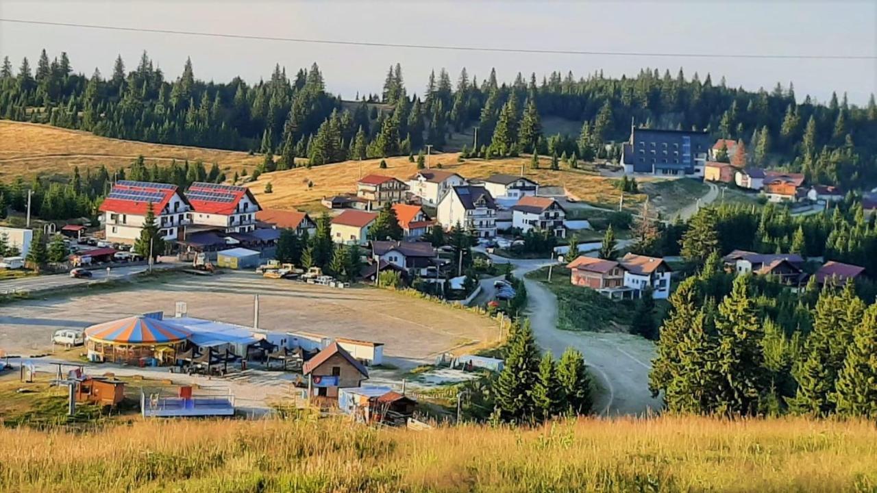 Pensiunea Karola Păltiniş エクステリア 写真