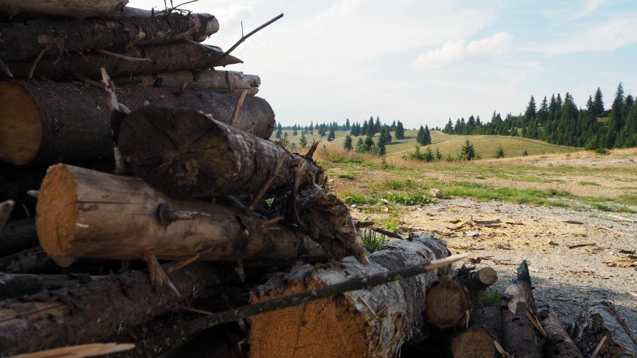 Pensiunea Karola Păltiniş エクステリア 写真