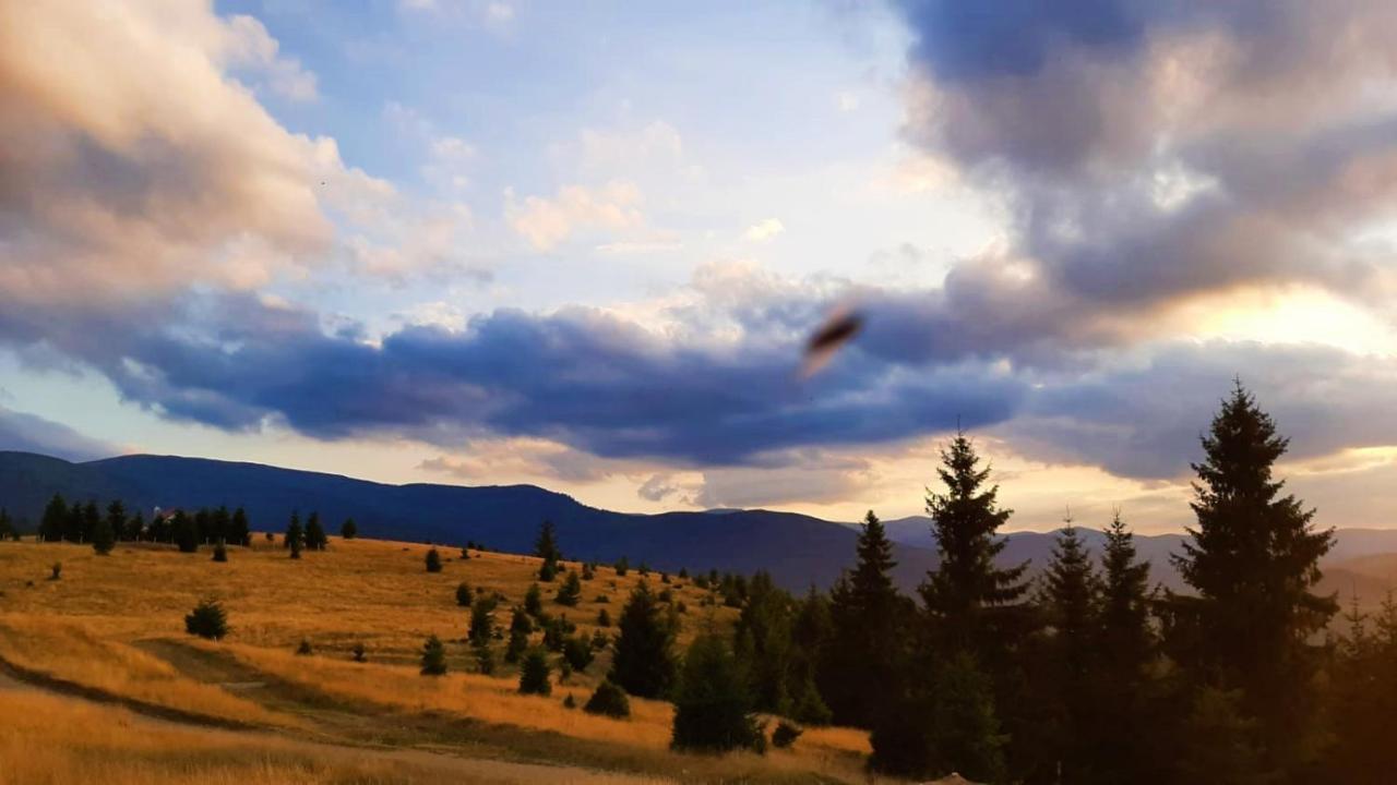 Pensiunea Karola Păltiniş エクステリア 写真