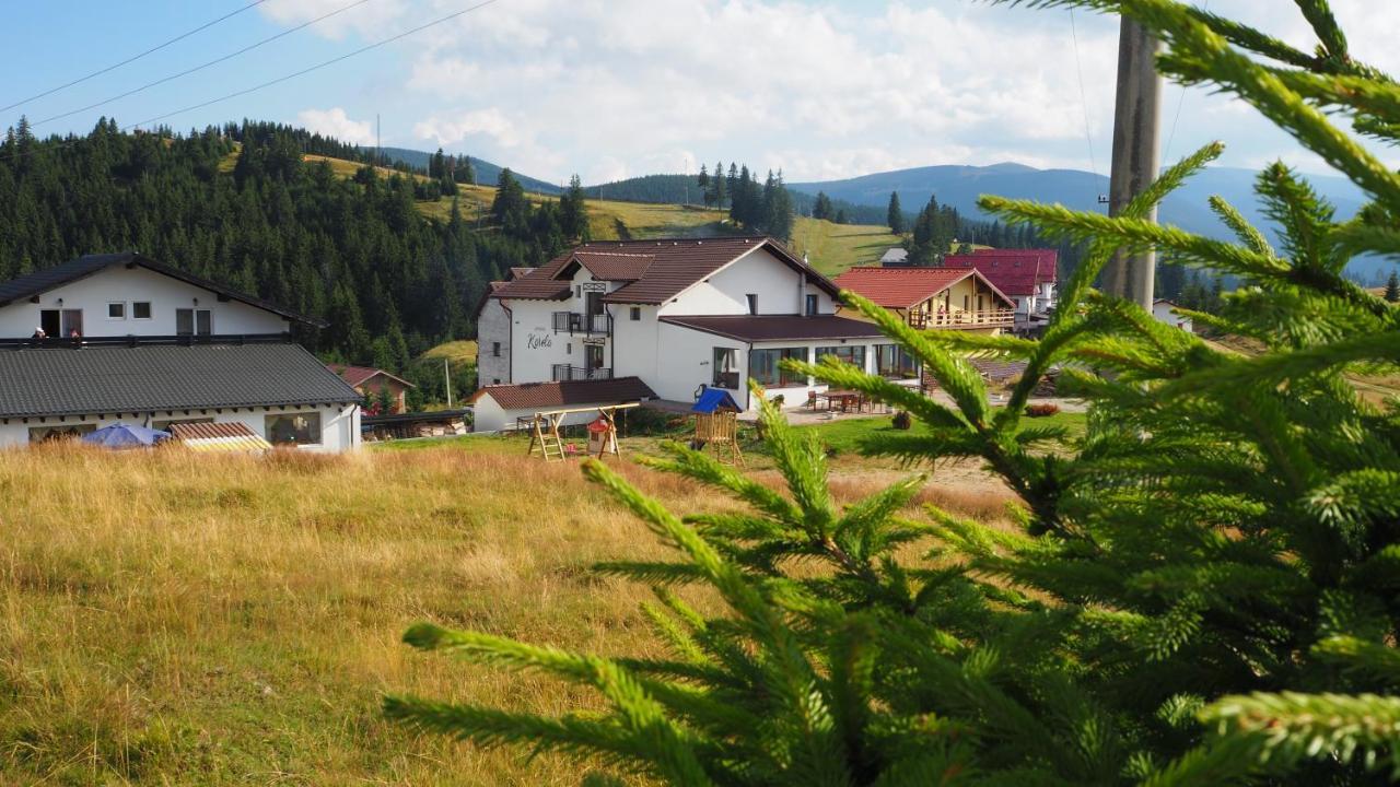 Pensiunea Karola Păltiniş エクステリア 写真